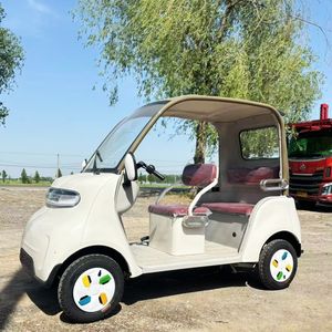 Vente à bas prix Transporteur de personnel électrique 4 places + véhicule utilitaire + outil de transport de passagers - Product Image 5