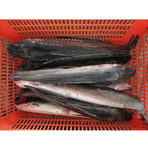 <span class=keywords><strong>ปลา</strong></span><span class=keywords><strong>ด</strong></span>ุกแช่แข็ง lqf - Product Image 4