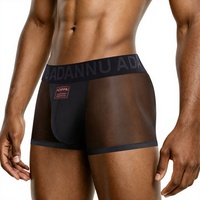 Boxers pour hommes avec panneau transparent, poche en U, taille basse, sexy, ultra-fins, respirants, en nylon polyamide extensible