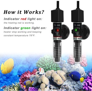 25W 소형 수족관 베타 히터 온도계 스트립 포함 - Product Image 3