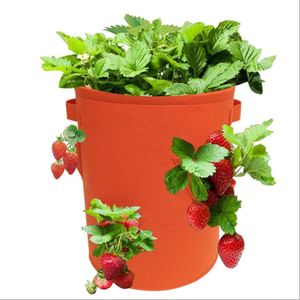 Sac de plantation suspendu pour fraises et légumes, idéal pour jardin vertical extérieur - Product Image 1