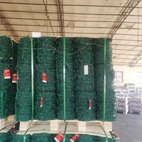 Fil barbelé robuste en PVC à double brin pour la protection des murs de clôture