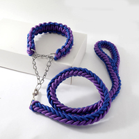 Collier et laisse tactiques pour chien en nylon/polyester résistant, élastique, bleu, rouge, écologique, corde tressée à 8 brins