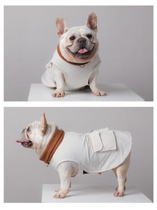 Chaleco para Perro Dafeel Personalizable, Impermeable, Cortavientos, Cálido, para Otoño e Invierno, para Paseos al Aire Libre - Product Image 2