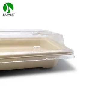 Plateau à sushi jetable <span class=keywords><strong>en</strong></span> pulpe de bagasse biodégradable, de haute qualité, résistant à l'eau et compatible micro-ondes, vente <span class=keywords><strong>en</strong></span> gros - Product Image 2