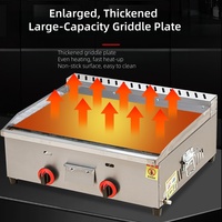 Plaque de cuisson commerciale pour tacos en plein air, plaque antiadhésive en carbone, acier inoxydable, fonte, plancha à gaz avec friteuse