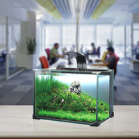 Aquarium en verre, équipement pour rehausser les poissons, à vendre