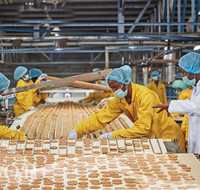 Automatische mini-biscuitkoekjesvormmachine, biscuitmachine, automatische biscuitmachine voor kleine bedrijven