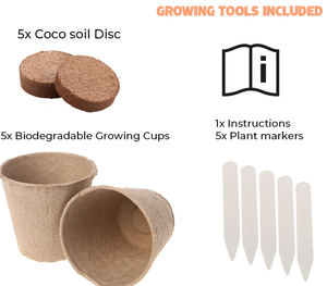 Kit <span class=keywords><strong>per</strong></span> la coltivazione di verdure-5 verdure speciali da coltivare-<span class=keywords><strong>tutto</strong></span> ciò di cui hai bisogno <span class=keywords><strong>per</strong></span> iniziare a crescere in una scatola! Kit da giardinaggio - Product Image 3