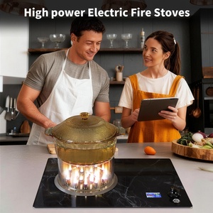 Nueva Placa de Inducción de Acero Inoxidable de 2200W, Integrada, con Panel de Cristal Negro, 9 Niveles de Potencia, Función de Temporizador, para el Hogar - Product Image 2