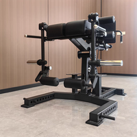 Machine d'extension pour les hanches et les glutei TOPTONS, nouvelle conception, équipement de musculation professionnel, hyperextension inversée