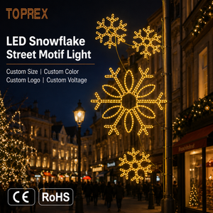 Motivo LED per Pali TOPREX, Design a Fiocco di Neve 2D, Telaio in Alluminio Antiruggine, Certificato CE ROHS SAA, Efficiente dal Punto di Vista Energetico - Product Image 3