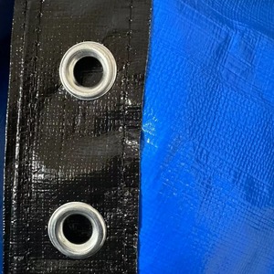 Ruigu Huizhong Pool Cover 5x5 Durable Waterproof Round PE Tarpaulin For Swimming Pool - Product Image 2