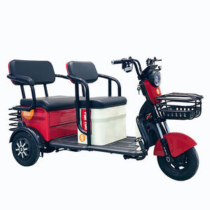 A buon mercato di Importazione Cina Due Posti Adulti Portatori di Handicap Scooter Elettrico 3 Ruote Per Le Persone - Product Image 1