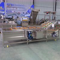 Automatische zoete aardappel ui tomaat reinigingsmachine fruit groente luchtbel wasmachine