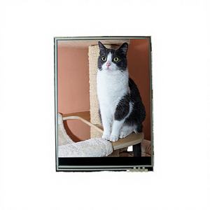 Pantalla LCD WUXGA HADS de 8.0 Pulgadas, 435 Nits, BOE NV080WUM-N61 MIPI, Contraste de 1200:1, Módulo de Pantalla para Dispositivos Médicos - Product Image 3