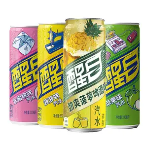 Refrescos de frutas mezcladas, refrescos exóticos en lata, 330ml/bebida suave de carbón brillante - Product Image 1