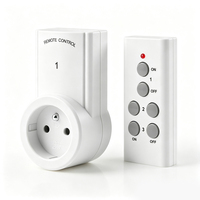 Prise de courant universelle Mini Smart EU RF 433mhz Télécommande sans fil pour maison intelligente