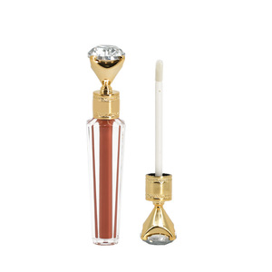 Logo Free Diamond <b>Lip</b> Gloss Plump <b>Lip</b> Tint Neutral Package European American Matte <b>Lip</b> Makeup - Product Image 4
