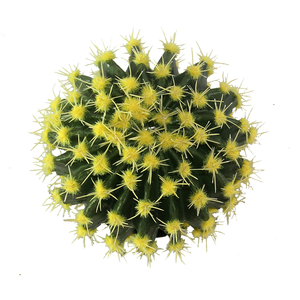 CHUANGFA 21cm <span class=keywords><strong>Cactus</strong></span> artificiale eco-friendly tocco naturale pianta interna per Desktop sala da pranzo decorazioni per feste di natale per alberghi - Product Image 3