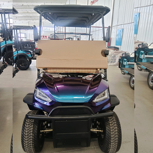 Carrito de Golf Tipo Buggy, Modelo 2024, con 7-8 Asientos, Autonomía de 50-70 km, Baja Velocidad, Certificación GCC/CE/EEC/DOT, Peso Ligero de 200-300 kg, Precio de Fábrica - Product Image 3
