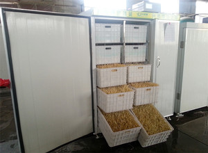 Sistema Automático <span class=keywords><strong>de</strong></span> Cultivo Hidropónico <span class=keywords><strong>de</strong></span> <span class=keywords><strong>Brotes</strong></span> <span class=keywords><strong>de</strong></span> <span class=keywords><strong>Soja</strong></span> con Motor <span class=keywords><strong>de</strong></span> 750W, Máquina para <span class=keywords><strong>Brotes</strong></span> <span class=keywords><strong>de</strong></span> Mung - Product Image 4