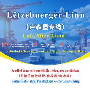Línea Dedicada de Transporte Aéreo y Marítimo de Luetschemburgo, Mercancías Sensibles, Puerta a Puerta, Incluye Despacho de Aduanas - Product Image 1