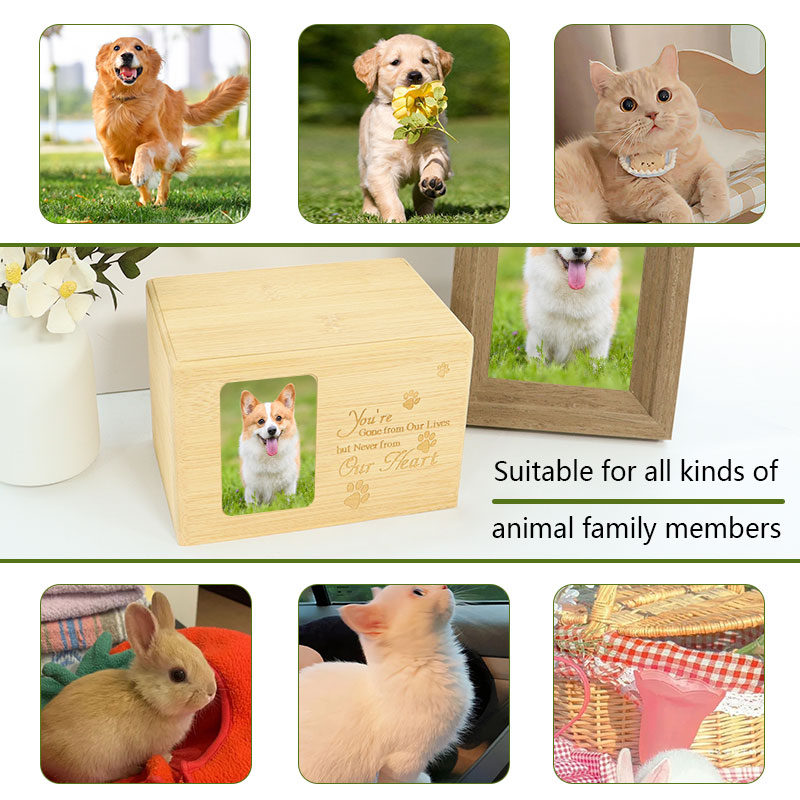 Biodegradable Bamboo Wood Urn for Pet Ashes - Sanming Taiwei Custom Memorial Coffin Box