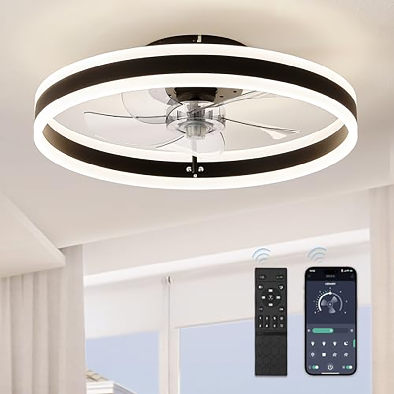 19.7 Inch Modern LED Ceiling Lamp with Remote Control 3Color Flashing Rotation Wall-Mounted Interior Decoration Popular Hot Sell