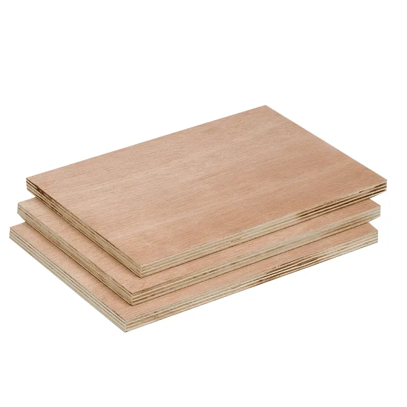 Pegamento E1 para muebles, Bintangor /Okoume, madera contrachapada, 1220x2440mm