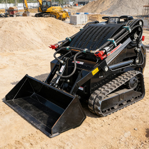 Spedizione Gratuita Minipala Agricola Euro 5 EPA Diesel Kubota con Accessori Completi per Fattoria e Fabbrica Pronta per l'Esportazione - Product Image 1