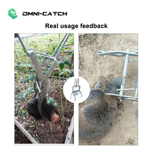 Piège à taupes en métal OMNI CATCH pour l'extérieur, robuste - Piège de lutte antiparasitaire commercial pour les taupes, les campagnols et les rongeurs dans la pelouse et le jardin - Product Image 3