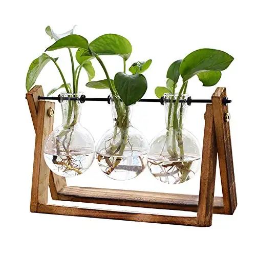 Terrarium de plantes avec support en bois Planteur d'air Ampoule Vase en verre Support pivotant en métal Décoration de bureau Vase à 3 ampoules