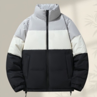 Doudoune Homme Légère et Chaude en Duvet de Canard 90% pour l'Hiver, Idéale pour le Ski et les Loisirs, Col Montant, Style Urbain Tendance