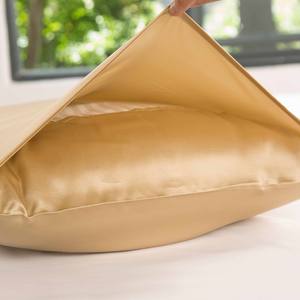 19mm 60*50 Ensemble de taies d'oreiller en soie de luxe 6A Grade 100% Tissu de mûrier Taies d'oreiller en soie rose douce et confortable Queen Size - Product Image 4