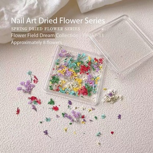 1 Boîte de Fleurs Séchées en Plastique pour Décoration d'Ongles, Couleurs Mixtes, Fleurs Naturelles Réelles, Autocollants DIY pour <span class=keywords><strong>Manucure</strong></span>, Petites Fleurs Fraîches - Product Image 5