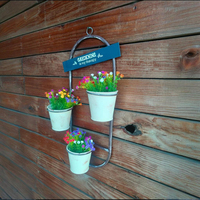 Jardinière moderne rustique en fer galvanisé à trois niveaux, écologique, pour légumes et herbes, pour jardin domestique et utilisation murale
