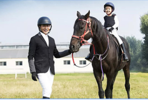 Dispositivo Audio Wireless Simplex RC2401 per Guide Turistiche, Uso tra Guide e Turisti/Istruttori e Governi - Product Image 6