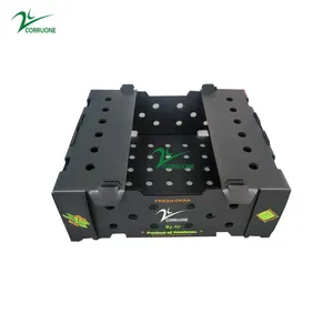 CORRUONE PP Corrugated Plastic BOX for Vegetable and Fruit Box correx Corn box