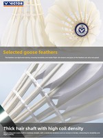 Maître du badminton n° Pack de 12 volants de badminton professionnels en plumes d'oie, vitesse 77, haute durabilité, pour tournois internationaux