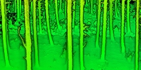 Software de Análisis de Nubes de Puntos GreenValley LiDAR360MLS, Clasificación Basada en IA, Flujos de Trabajo Personalizables para Estudios de Silvicultura Urbana