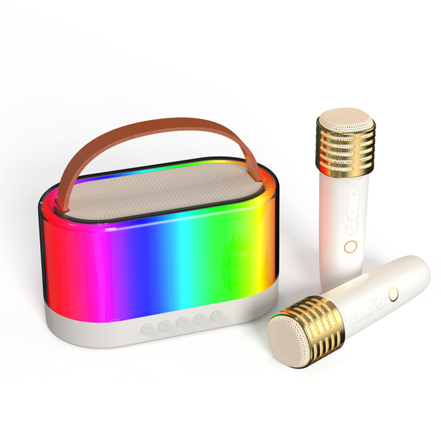 Mini Portable V5.1 Karaoke Machine with RGB LED Lighting 2 Wireless Microphones Waterproof IPX4 for Adults & Kids Mobile Phone
