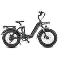 Vélo électrique tout-terrain à pneus larges de 20 pouces, moteur Bafang 750W, batterie au lithium double 48V, cadre en alliage d'aluminium, freins hydrauliques, stock UE/USA