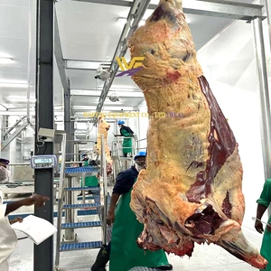 Equipo de Matanza de Ganado de Acero Inoxidable, Máquinas para Mataderos, Línea Automática de Sacrificio de Vacas - Product Image 6