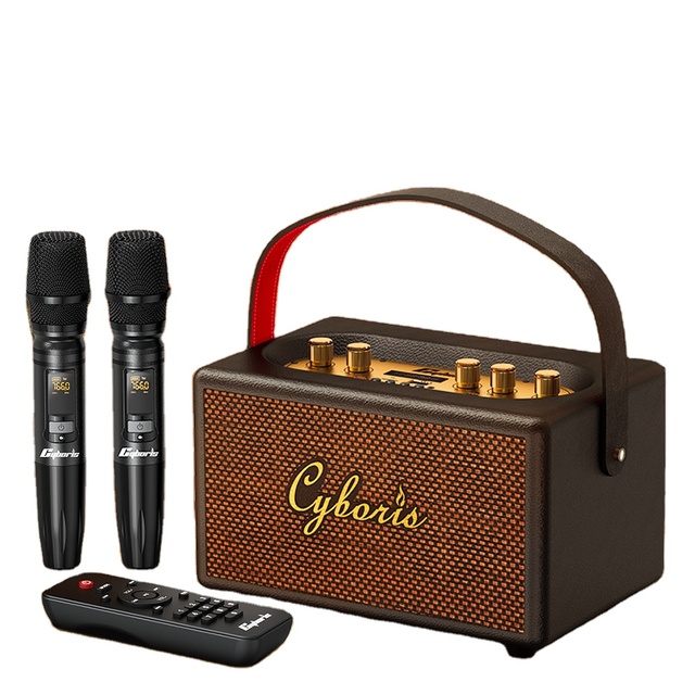 80W Retro Karaoke Machine with Two Wireless Microphones, Portable Karaoke Machine for Adults & Kids,Karaoke Speaker