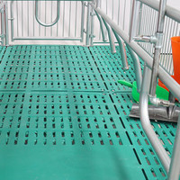 Lit de mise bas pour truies, équipement d'élevage porcin, enclos de mise bas pour truies, caisses de mise bas à vendre