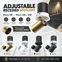Lampu Sorot Tersembunyi yang Dapat Ditarik, Lampu Plafon LED Berperingkat IP54, Aluminium 7,5 Cm, Cocok untuk Dinding Latar Belakang Aula Pameran