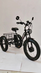 Tricycle <span class=keywords><strong>électrique</strong></span> de 24 pouces, tricycle <span class=keywords><strong>cargo</strong></span>, <span class=keywords><strong>vélo</strong></span> à 3 roues, gros pneus, scooter, tricycle <span class=keywords><strong>électrique</strong></span> motorisé, e-tricycle, pédicab pour le transport - Product Image 5