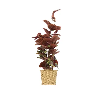 LN Современное искусственно-растительное растение Perilla Frutescens, искусственные листья, зеленые растения, комнатные украшения, Перилла, футесены, пол в горшках