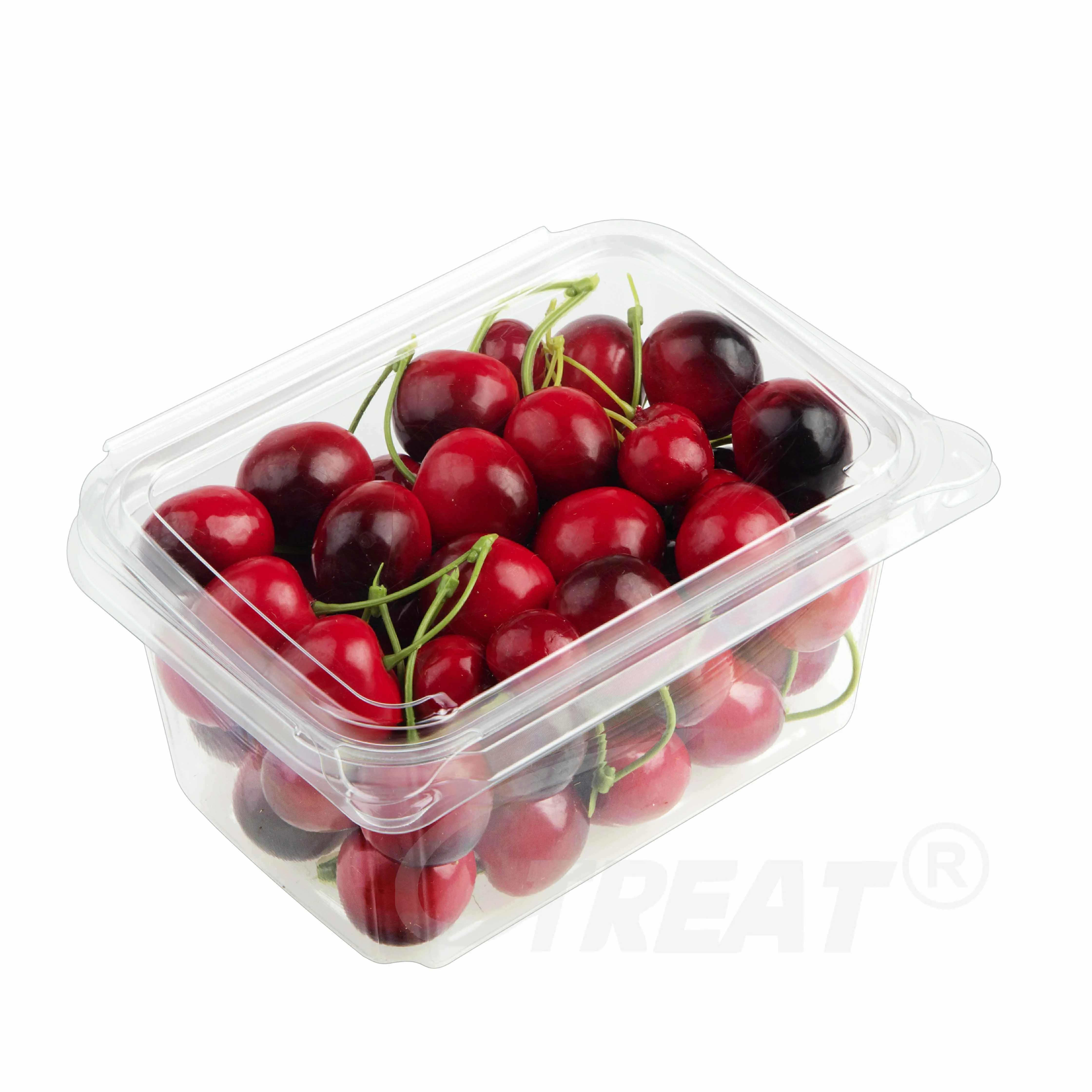 Großhandel einweg-Lebensmittelbehälter aus Kunststoff für frisches Obst und Gemüse durchsichtige Erdbeerbox